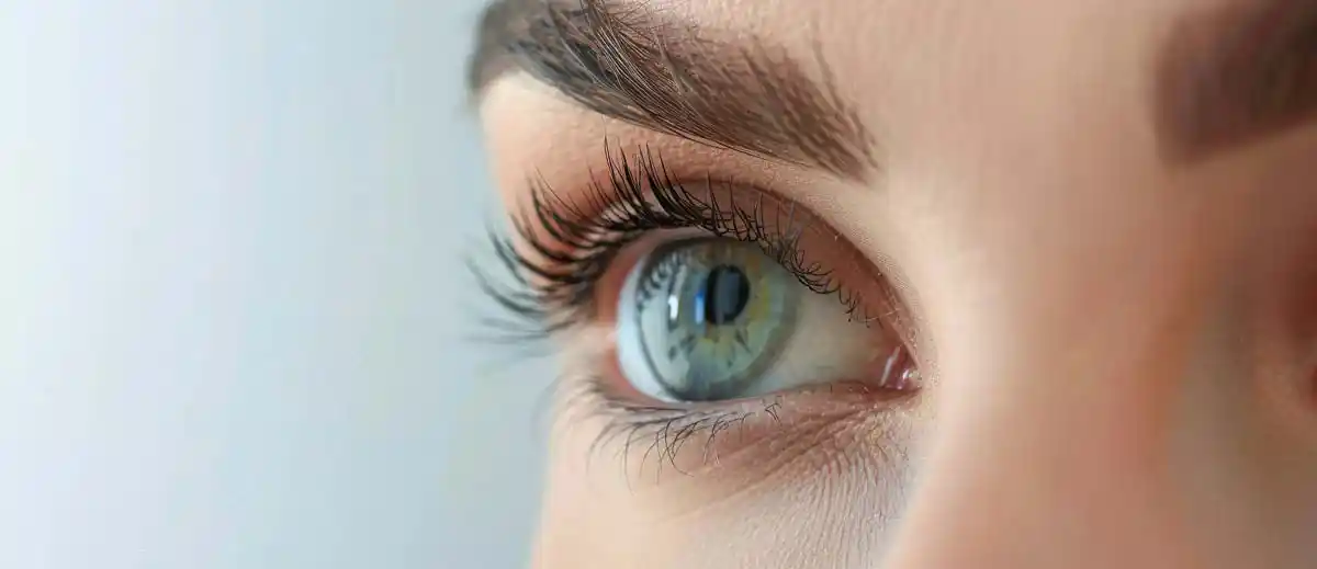 Eye Health and Wellness at Hakim Optical